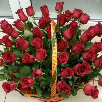 51 красная роза в корзине, Эквадор 60см
