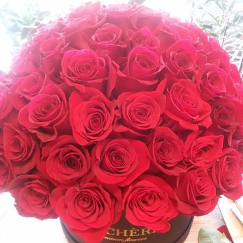 51 красная роза “Коробочка” , Эквадор 60см