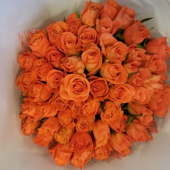 51 оранжевая роза. Кения, 40см