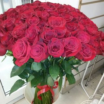 Высокие розы, 80см, красные, Эквадор.