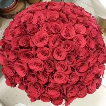 Букет из 101 красной розы, 60см, Эквадор.